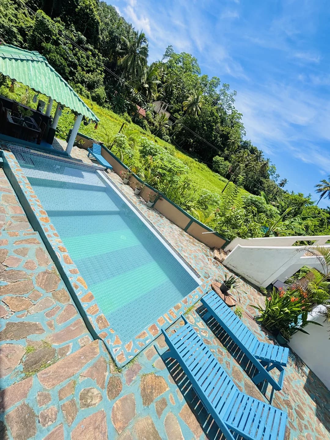 Lush poolside garden oasis with sun terrace and tropical coconut palms